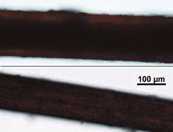 �ﾵ20���µ��˷����ϣ�����βë���£�����βë����Լ����ëǻ��ǻ�ں�ʵ��������ר���϶���������ë����������ë����