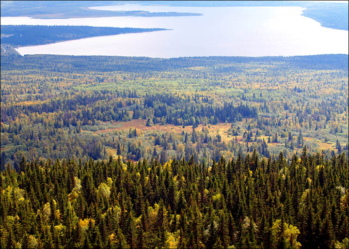 据悉,这个麋鹿地质印痕是2011年当地研究人员亚历山大-雪斯塔可夫意外发现的,他是通过谷歌地球卫星图像发现的。