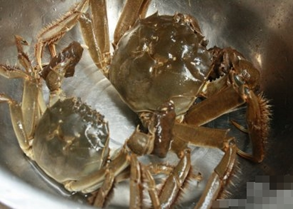 ����з�������ͱ�һ��Ĵ�բз�������һ����