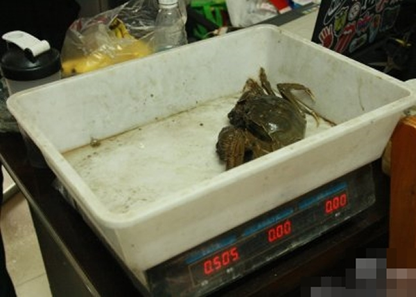 ����з���ش�1�