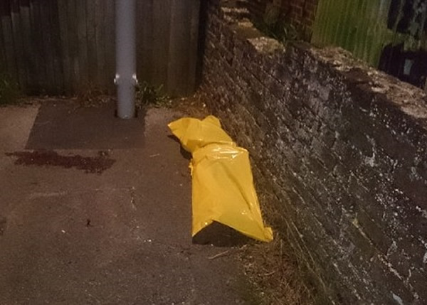 ����ʬ�ױ��˰ᵽС���ڡ�