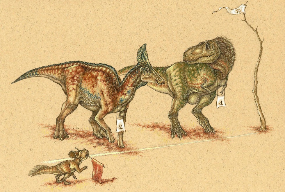 ��ʳ��Ѽ������γɹ��ı鲼���������޵ĸ����ط�