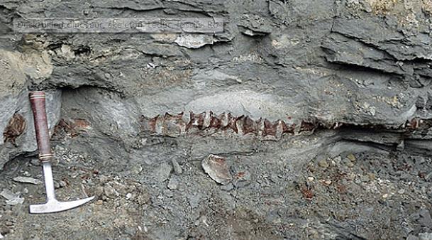 ��������������Ѽ������ʯ����12�ף����������С�൱