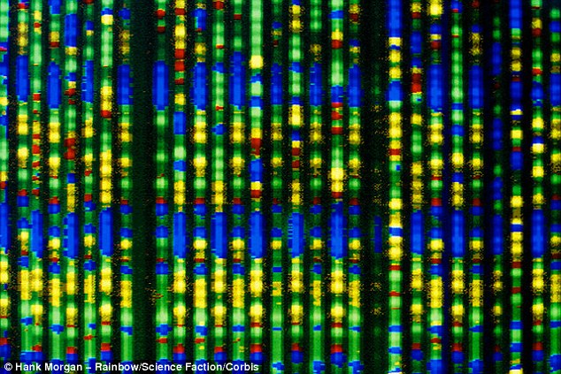 ŷ����������Ͷ���������ϵ�ڴ�Լ3.7����ǰ���Ѿ��໥����