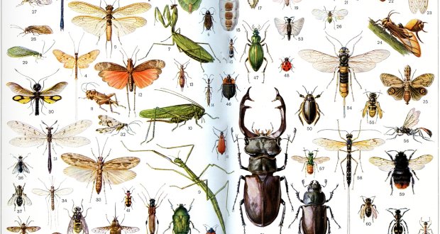 �о���Աȷ��һ��ǿ�����������ݻ�ʱ���