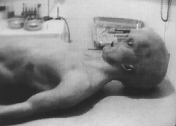 《51区:美军极机密基地秘史》:罗斯威尔飞碟事件是假的,斯大林搞鬼