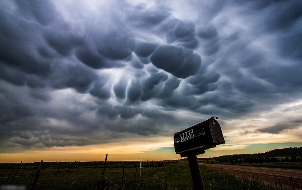 此照片是希金斯于今年在南达科他州拍摄。