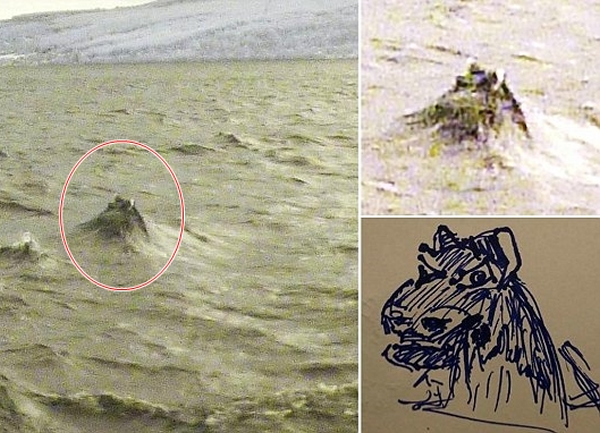 ϣ������Ȼ�������Ա��3��ǰ����˹�����㵽ˮ��¶��ͷ������Ƭ