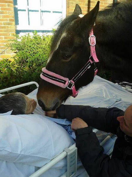 Ӣ������������ǰ�밮��������