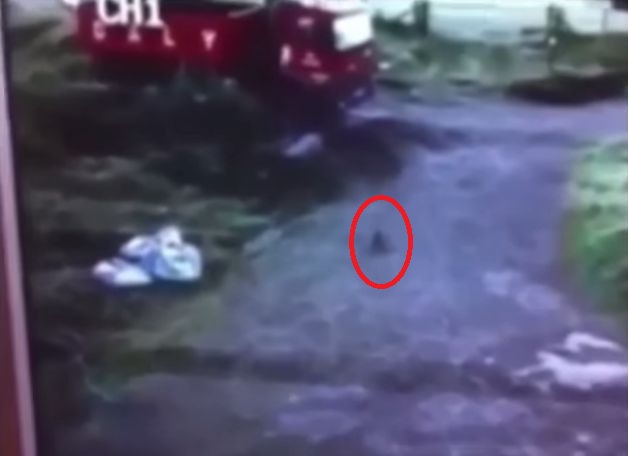 ����ũ���������ļ�(��Ȧʾ)��ũ����Ժ�����ߡ�