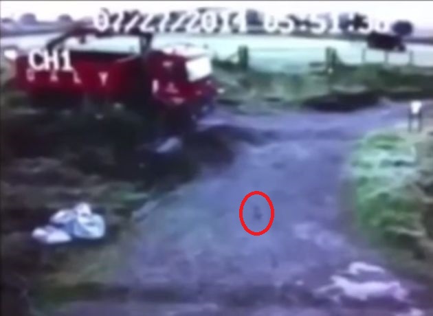 ��ֻ��(��Ȧʾ)ͻȻ�ֻ�������