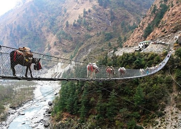 �Ჴ��������ר���ţ�����磽������ڵ�·���������⡣