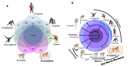 ���о�������˿��������Դ���ݻ���ʷ