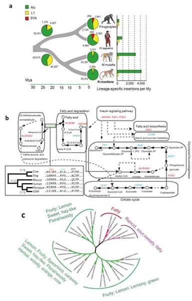 ���о�������˿��������Դ���ݻ���ʷ