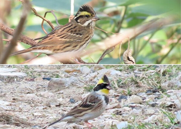 ��ü�M���ϣ����ƺ��M���£���