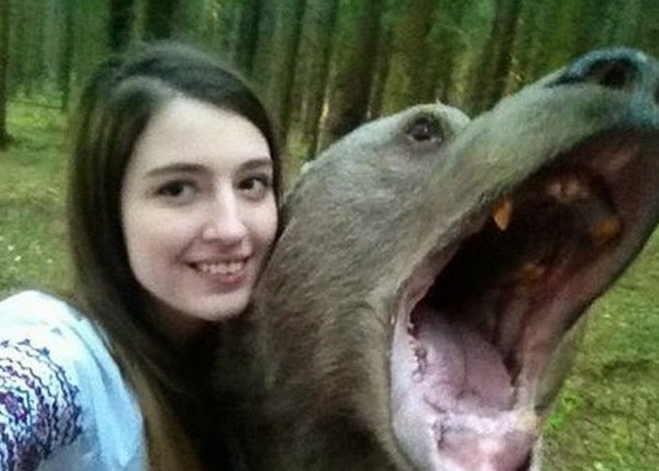 俄罗斯少女(左)与巨熊史蒂芬(右)面贴面自拍。