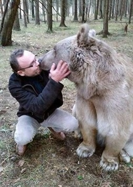 有俄国男子与熊亲吻。