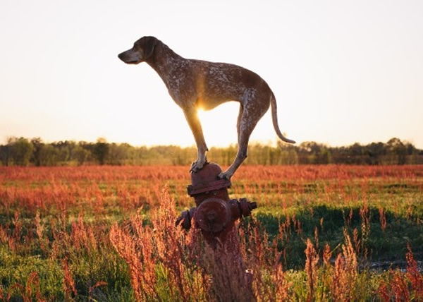 ����ӵ�о���ƽ����