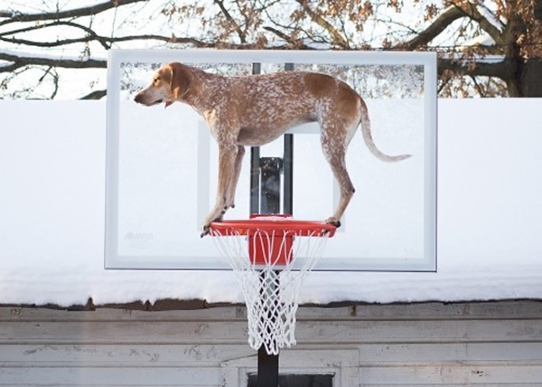 ���ۺ�ʱ�εأ����϶����侲���󶨶���