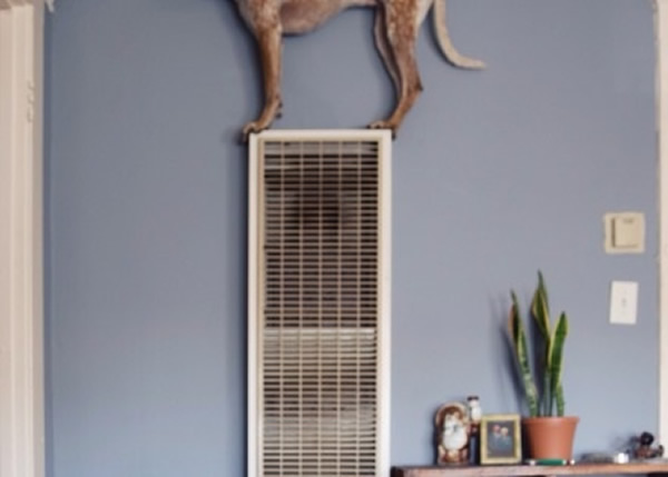 ���ֵ����Ͱ��裬Ҳ�����ϵġ�Ŀ�ꡱ��