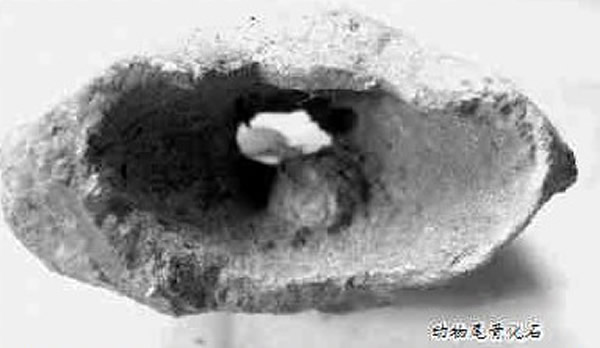 平邑发现距今约20万年的旧石器时代早期遗址