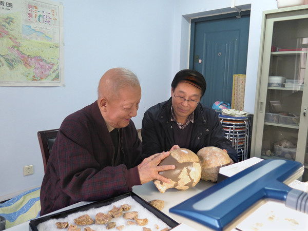 吴新智院士观察许昌人头骨化石,右为许昌人发现者李占扬研究员