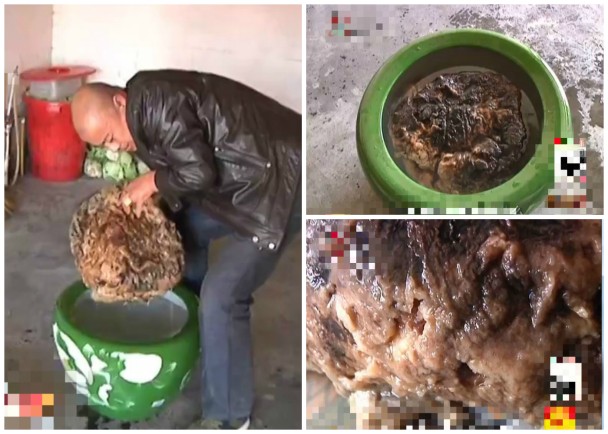 ��������Һӹ�����2����Ķ����ڳ����ء�̫�ꡱ