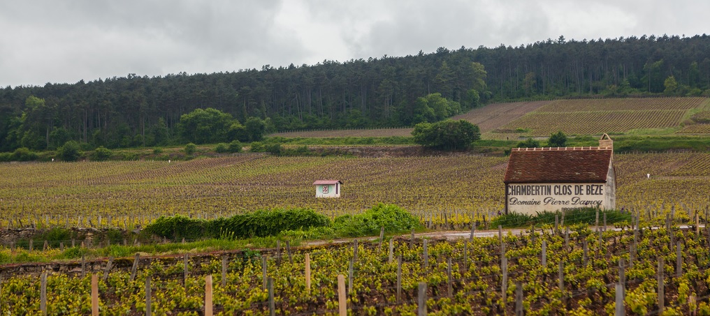 勃艮第区酒庄的出品远近驰名。