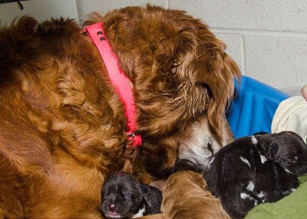 ���������С������С����Ұ�������罻���ɡ�