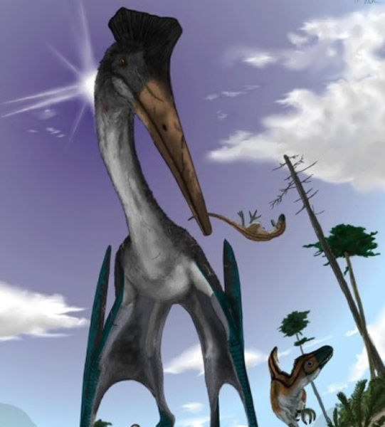 ��ѧ��ָ��������������̫�޴��ɲ���ͼΪģ��ͼƬ��