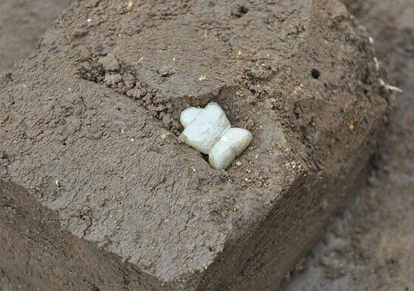 日本黑肥地的追之原遗迹中出土大约8000年前(绳文时代早期)的石制人偶