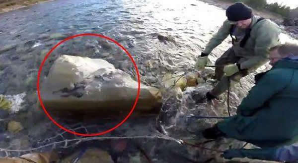 ôǲʡһԸڳǱӵⷢѼʯ