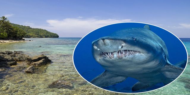 ���ɱ����񲶻���ͻ��� �ʸ��󾪼�һ����ͷһֻ��