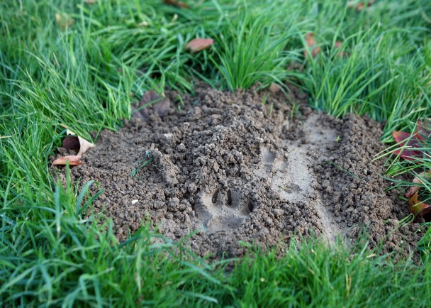 �������������ϻ����µĽ�ӡ��