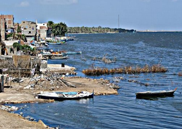 罗塞塔为尼罗河三角洲的港口城市。