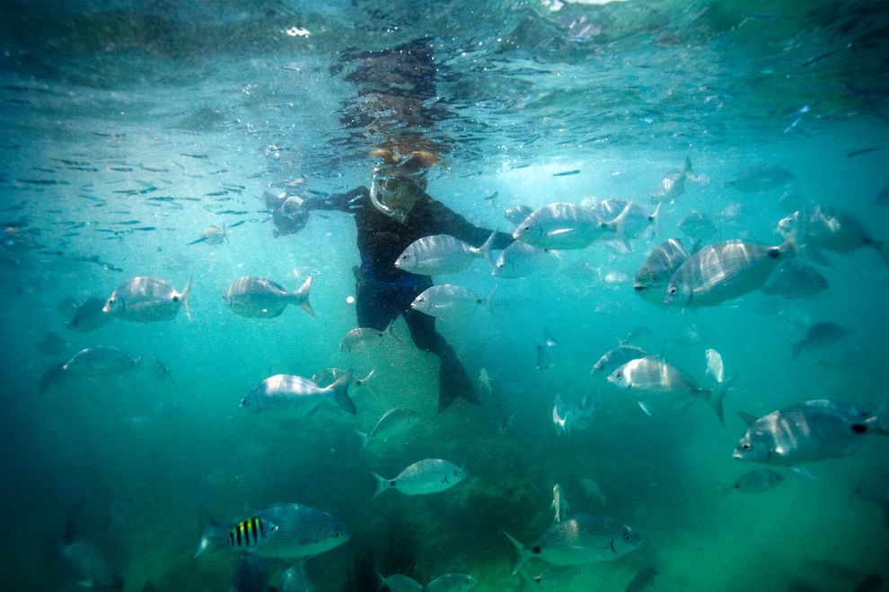 藻海中,一群鱼环绕着《Glamour》杂志的终生成就奖得主:席薇亚‧厄尔。摄影:SHAUL SCHWARZ, GETTY