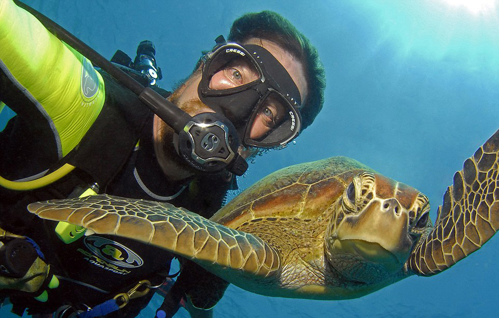 海底动物名字大全及图片 1_201411151321551vjsn.jpg