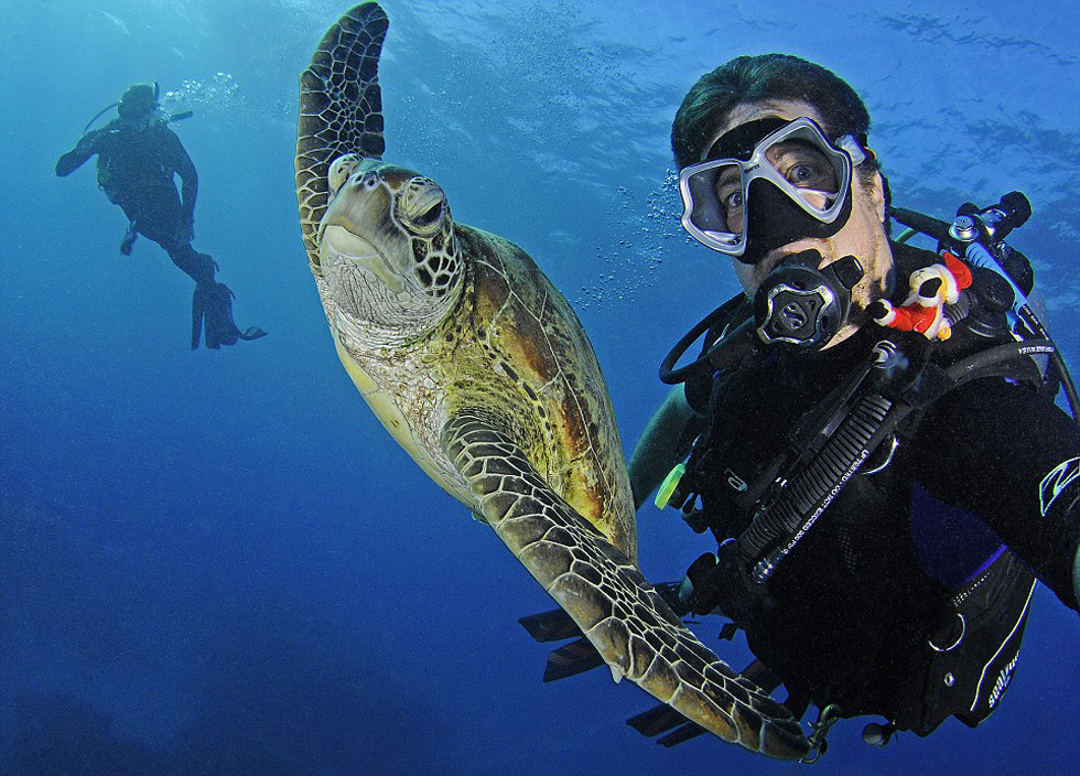 ������Ƭ���������Ӱ�������ܶ�Ա���еĳ�����