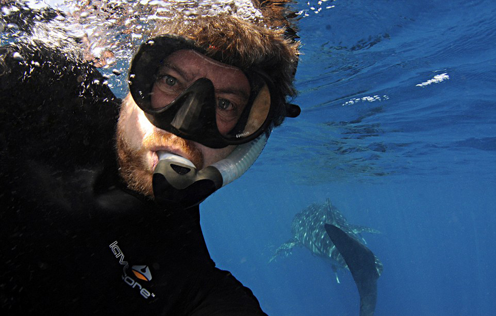 ������Ƭ�У�һͷ�����ڲ����������ι���