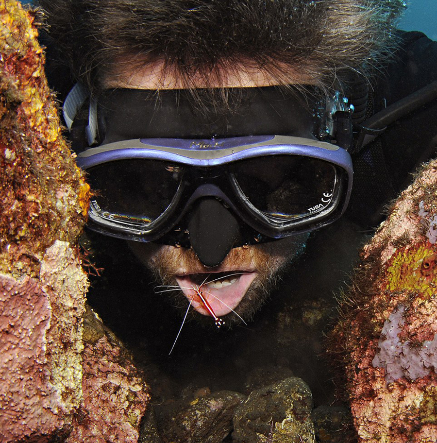 �����ϻ��й����������Ϻ���������ؾ�����