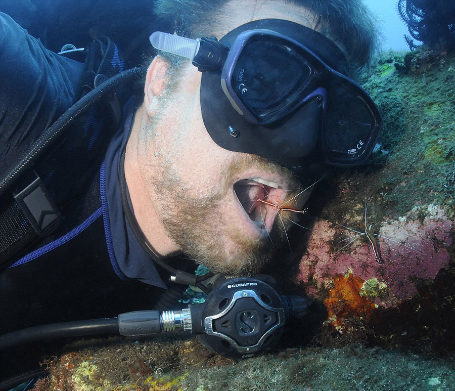 �������ſ���ͺ������Ϻ��Ϸ��