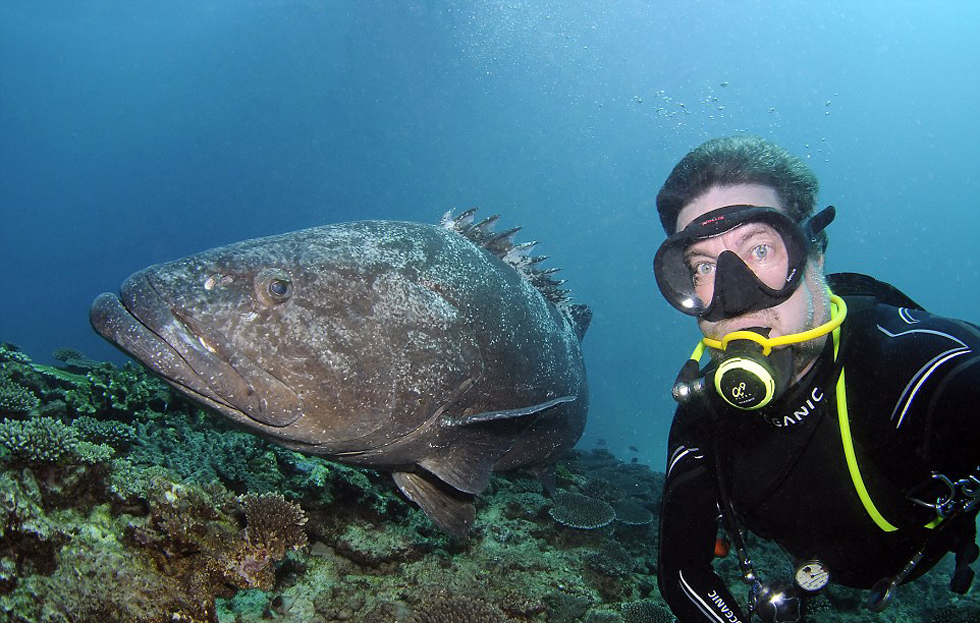 ÿ��Ǳˮ�����к��׶����ι����������ٴ���������������ա�