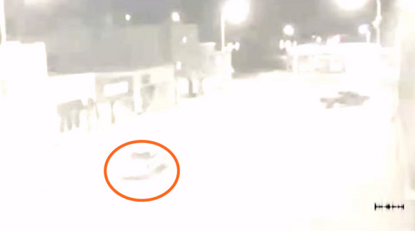 �����˰�ܣ�����һ��������㵽�������ʻ�е�����ƾ����ʧ