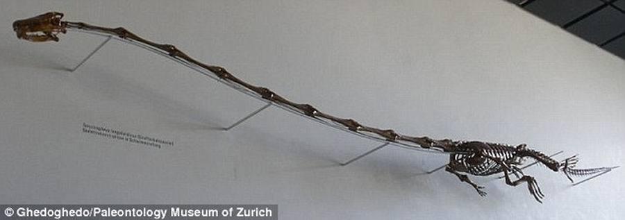 ɯΪˮ֡ǳһ2.32ǰԶ˵ǲ֪Ƿ񳤾ܹλеˮֶûλ