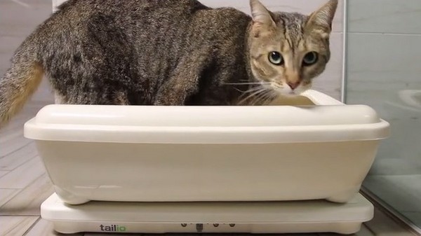 外国高科技宠物用品公司老板Alex Treiner因爱猫多年前死于癌症,发明了会记录如厕次数的高科技猫砂盆Tailio ,让主人能随时掌握猫咪的健康状况。