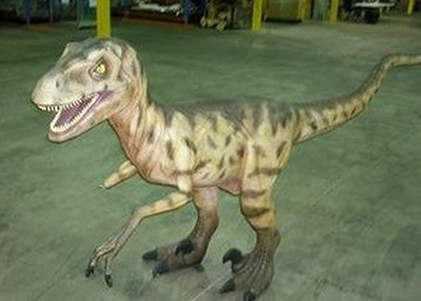 ޹ҿһ߿ģ˵ȥڹ԰ڡ