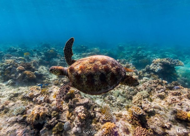 ½־üҲѧϰǱˮܿ