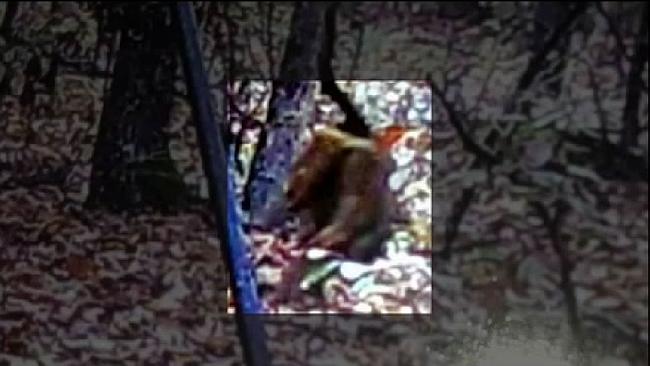 ������Ъ���ݺ͵ÿ���˹�ݽ�������Ŀ����ͷ��������