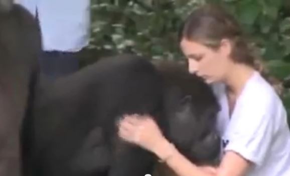 ̹�������12��Ĵ������ٶȾ��ס�