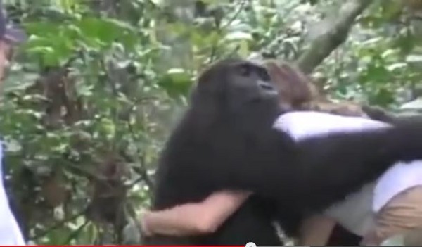 ����ӵ��